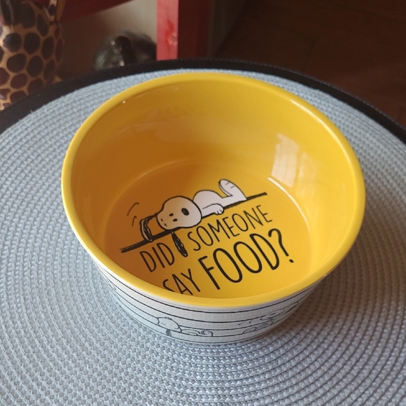 🐶Peanuts Stoneware Pet Bowl - Picture 1 of 4